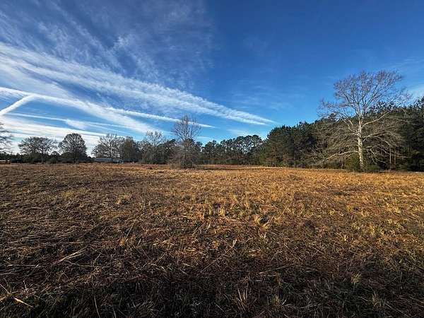 4 Acres of Residential Land for Sale in Carriere, Mississippi