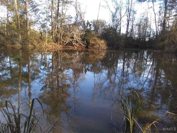 12 Acres of Recreational Land for Sale in Fayette, Alabama