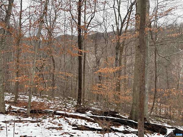 114 Acres of Recreational Land for Sale in Stanardsville, Virginia