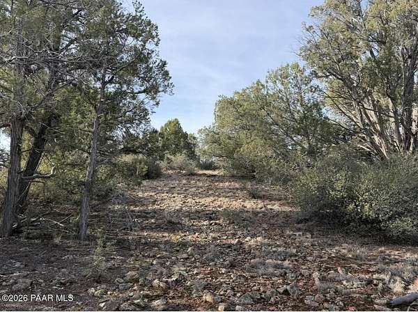 19.8 Acres of Land for Sale in Ash Fork, Arizona