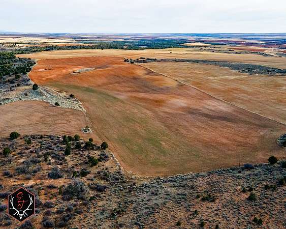 631 Acres of Recreational Land & Farm for Sale in Egnar, Colorado