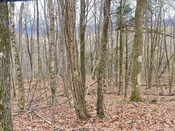 77.3 Acres of Land for Sale in Monterey, Tennessee
