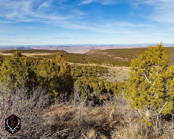 644 Acres of Land for Sale in Egnar, Colorado