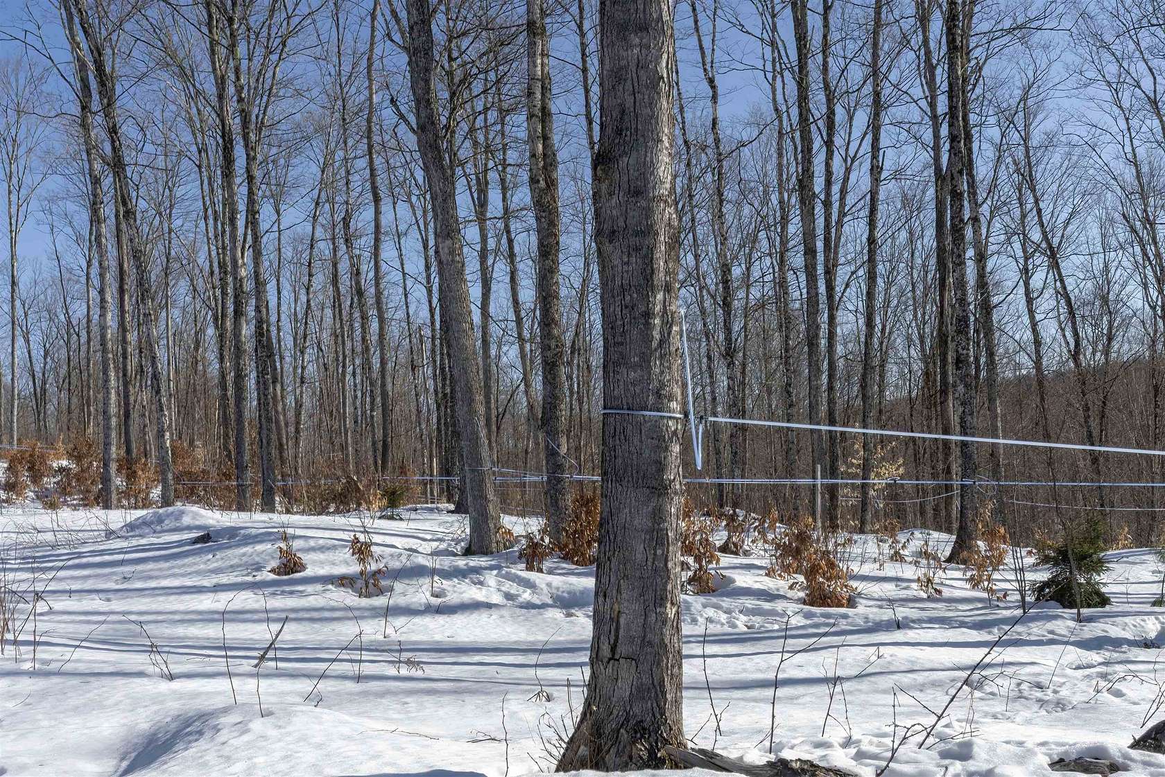 175 Acres of Recreational Land for Sale in Wolcott, Vermont