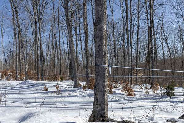 175 Acres of Recreational Land for Sale in Wolcott, Vermont
