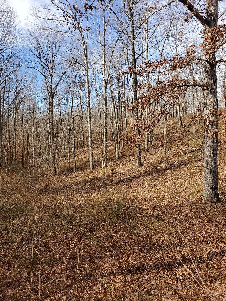 4 Acres of Residential Land for Sale in McEwen, Tennessee