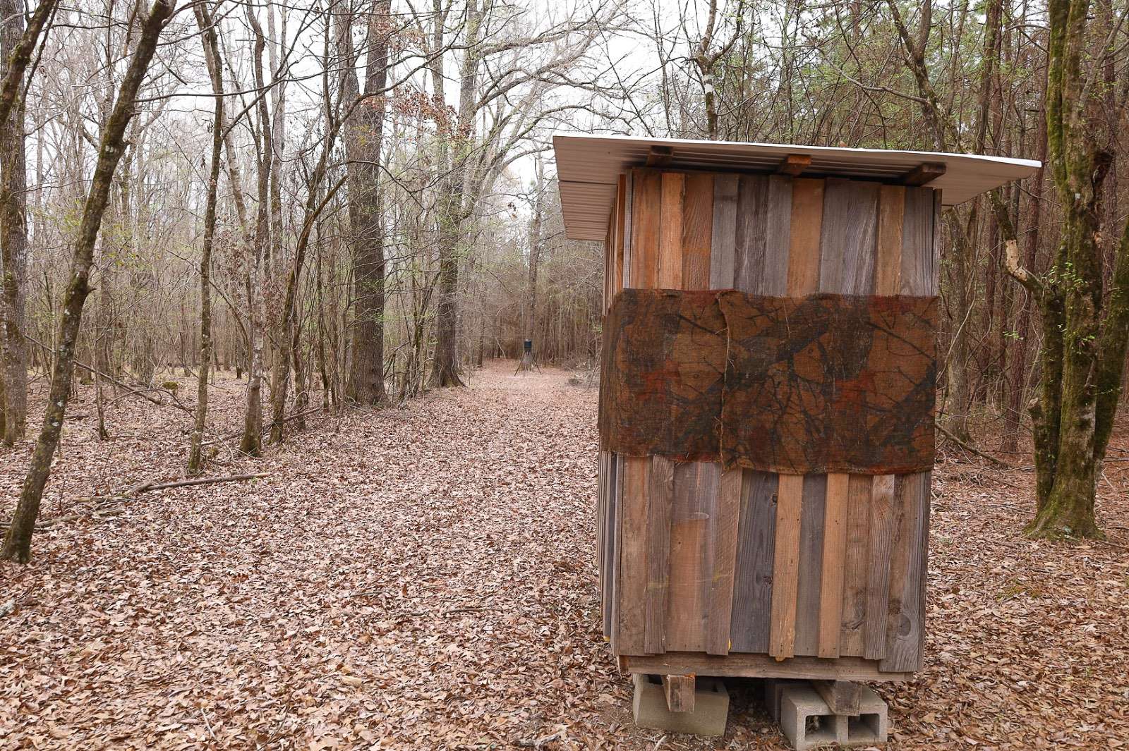 40 Acres of Recreational Land for Sale in Kelly, Louisiana