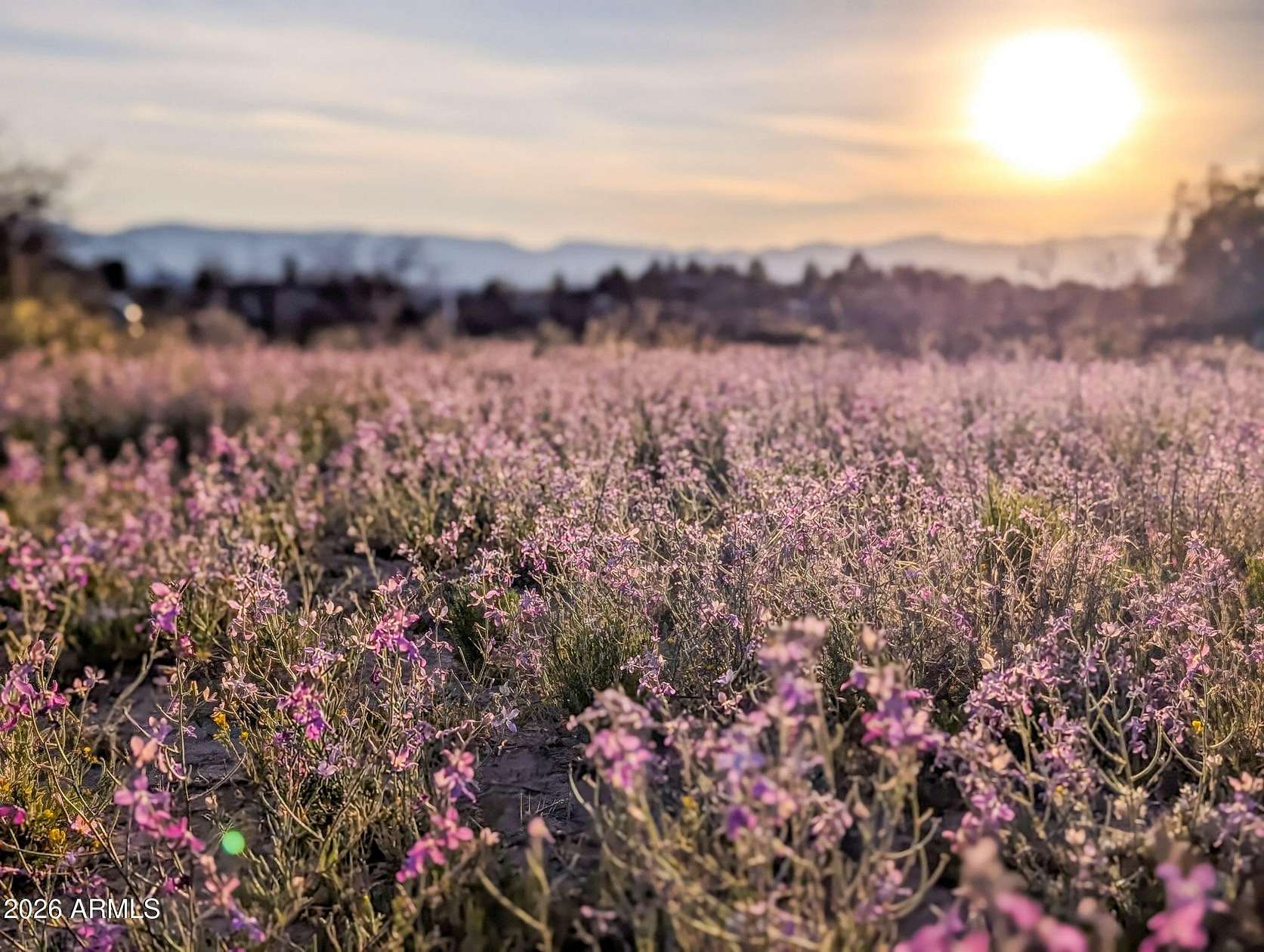 14.7 Acres of Land for Sale in Rimrock, Arizona