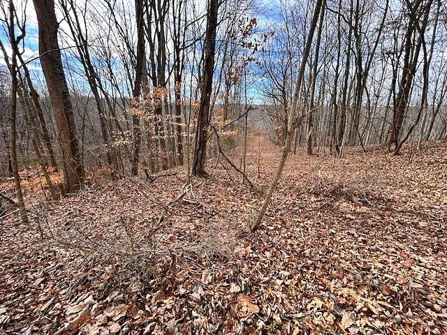 1.15 Acres of Residential Land for Sale in Smithville, Tennessee