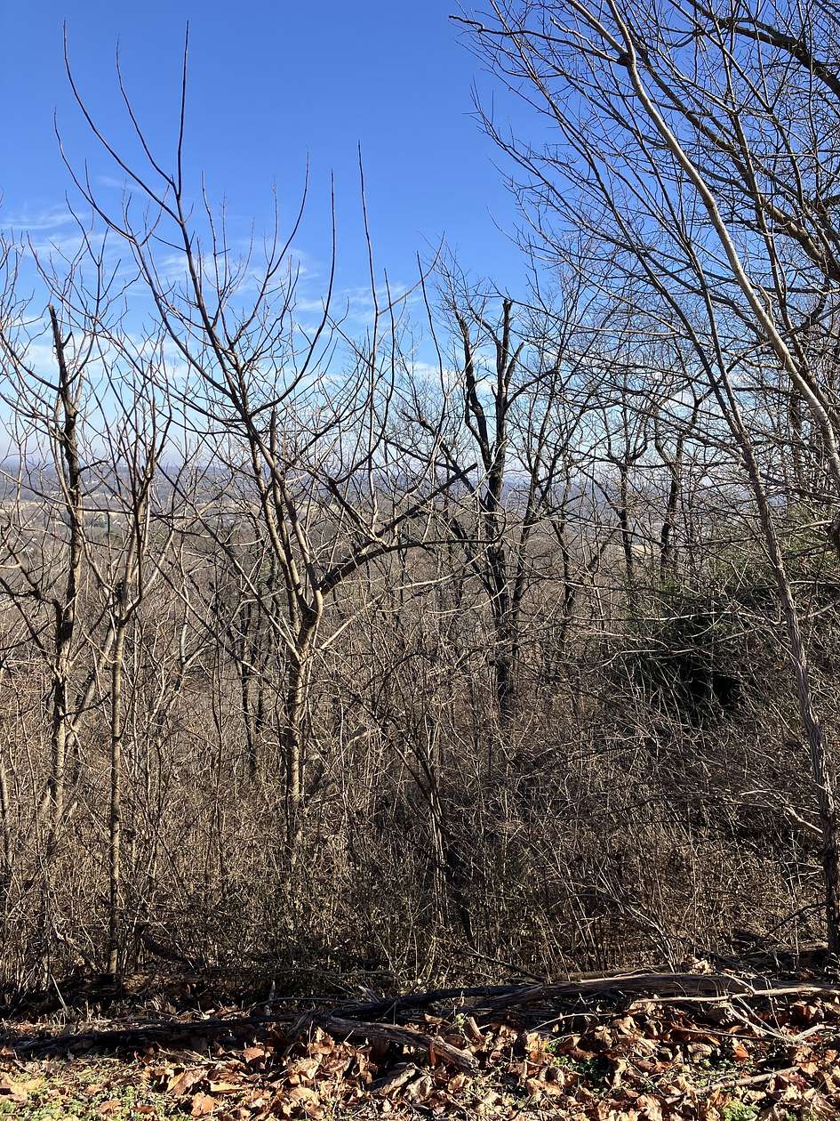 1.33 Acres of Residential Land for Sale in Brentwood, Tennessee