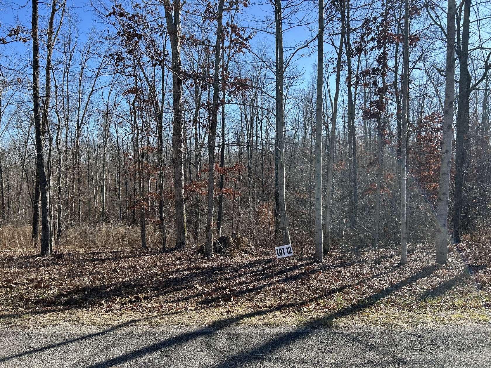 9.78 Acres of Residential Land for Sale in Primm Springs, Tennessee