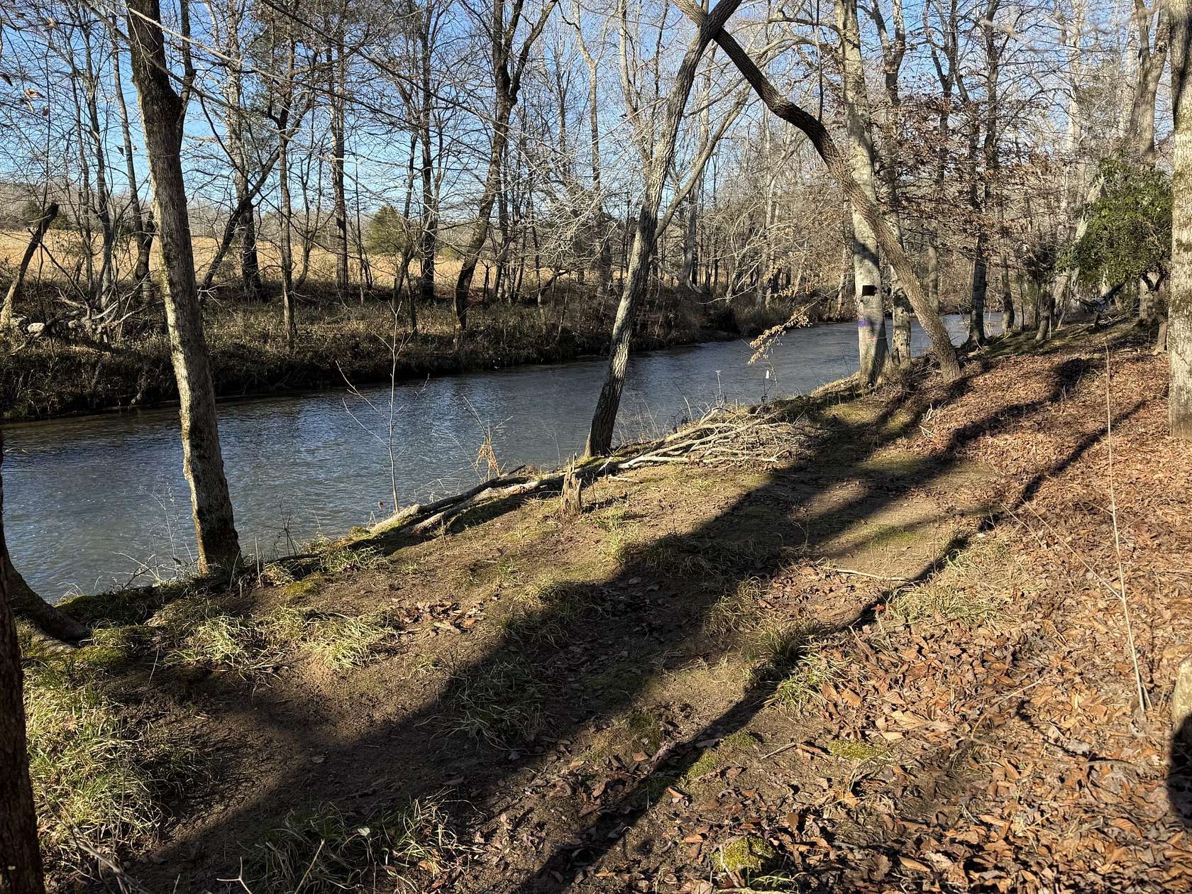 8.5 Acres of Residential Land for Sale in Hohenwald, Tennessee