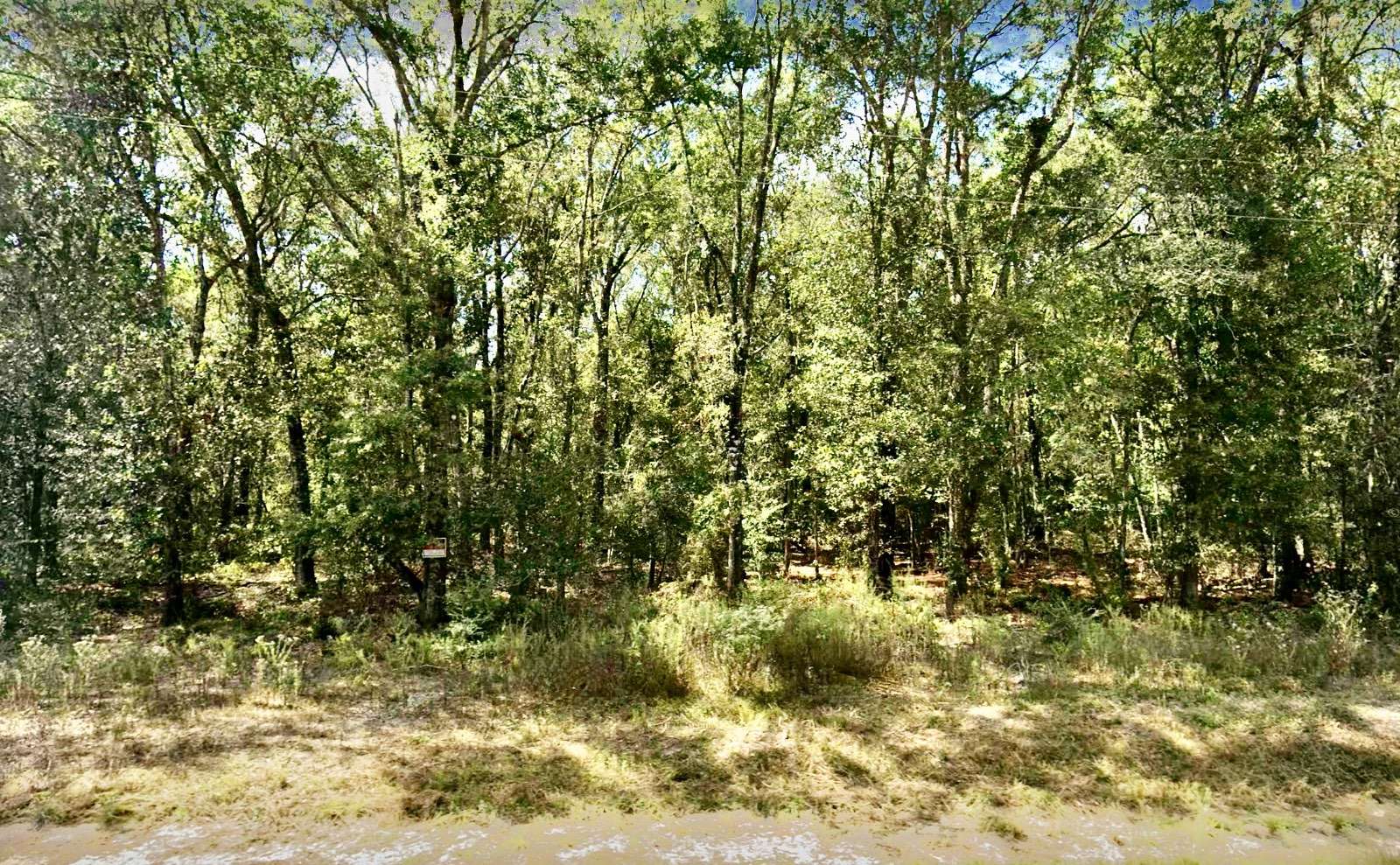 21 Acres of Recreational Land for Sale in Welsh, Louisiana