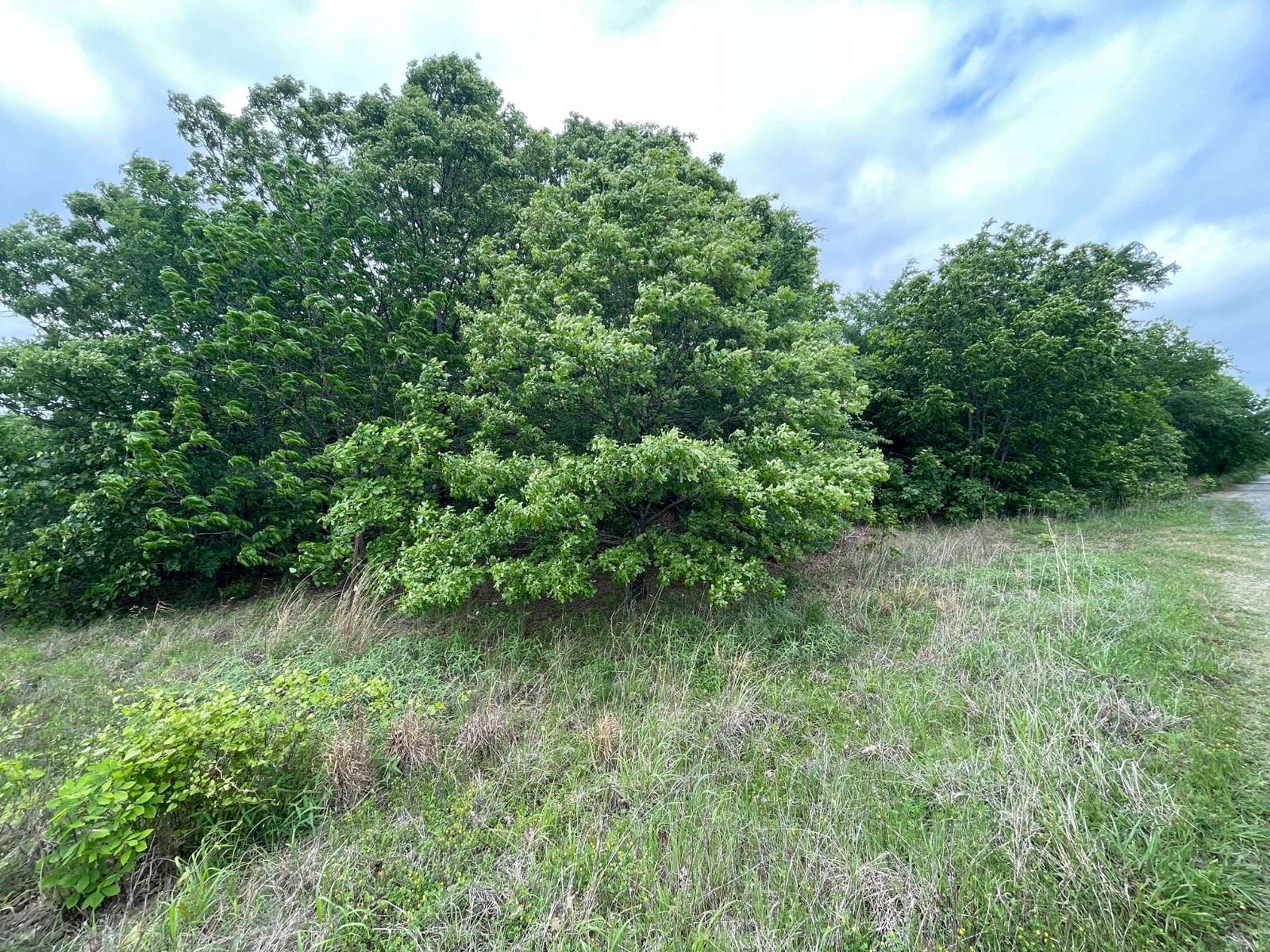 4.6 Acres of Residential Land for Sale in McAlester, Oklahoma