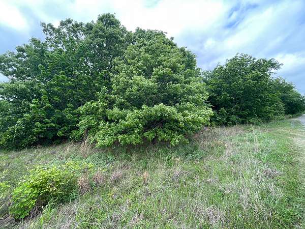 4.6 Acres of Residential Land for Sale in McAlester, Oklahoma