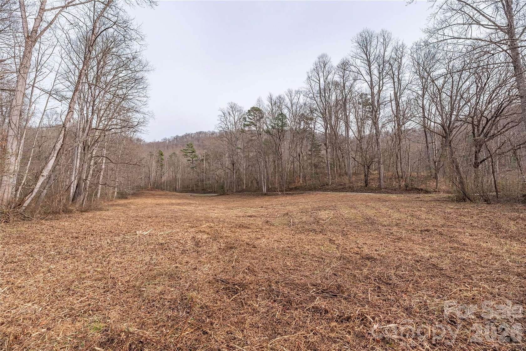 2 Acres of Land for Sale in Sylva, North Carolina