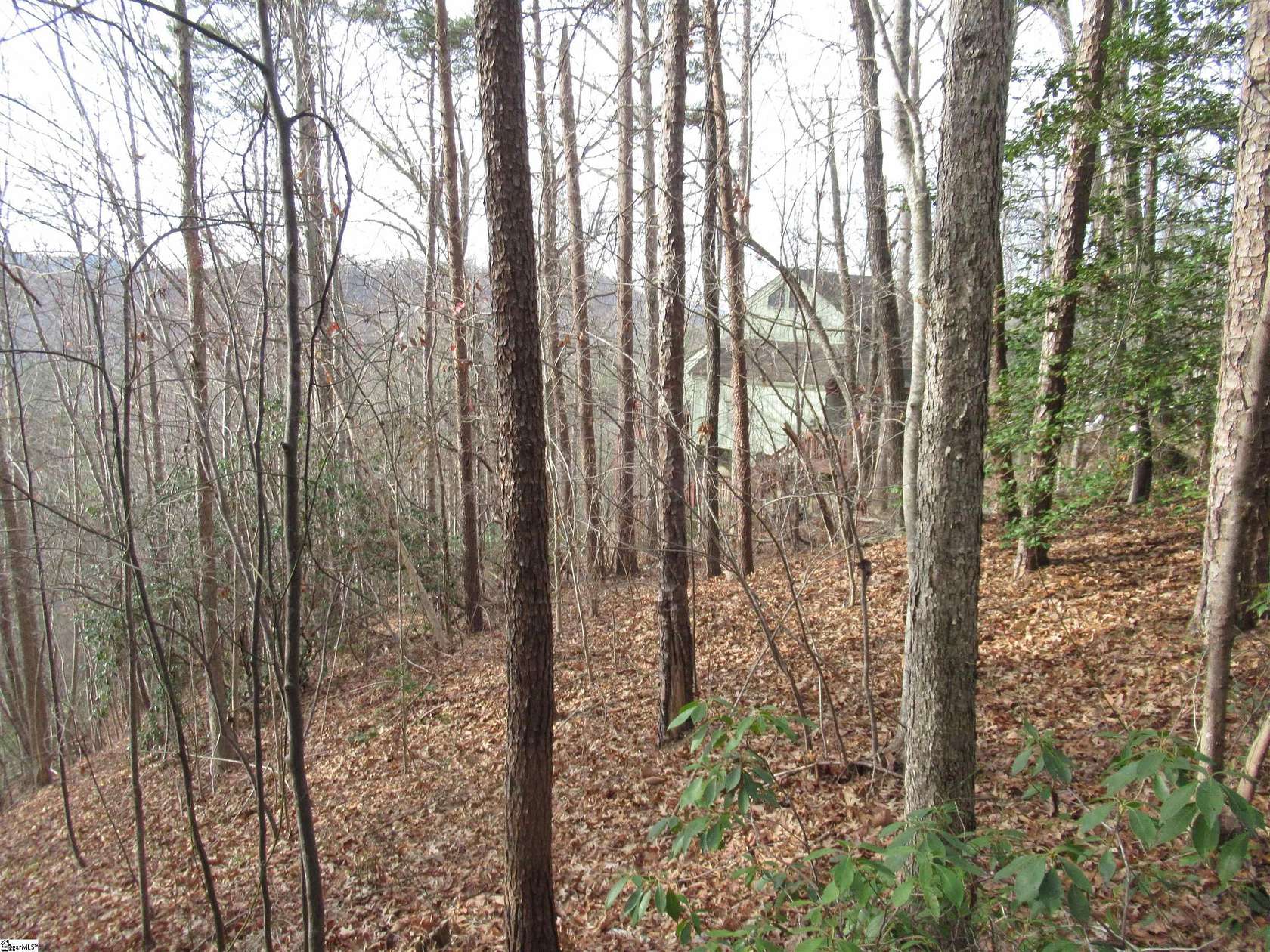 0.5 Acres of Residential Land for Sale in Pickens, South Carolina
