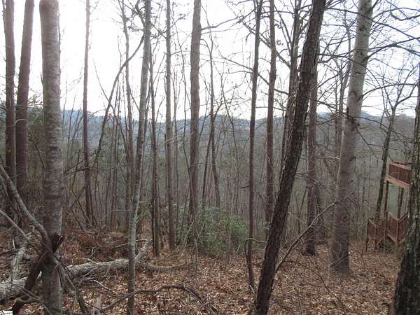 0.54 Acres of Residential Land for Sale in Pickens, South Carolina