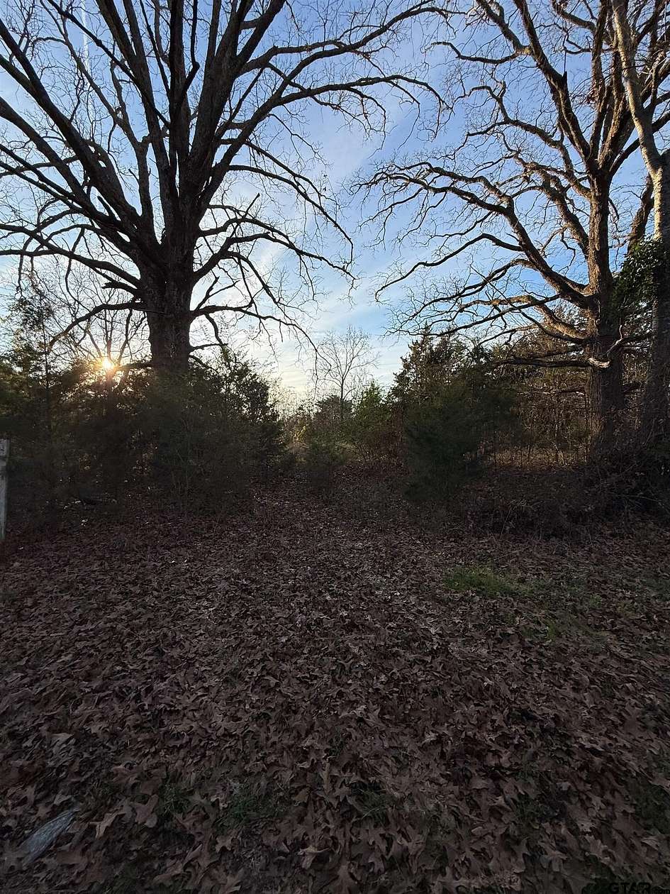 3.24 Acres of Residential Land for Sale in Pittsburg, Texas