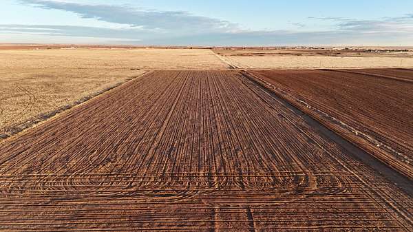 10 Acres of Land for Sale in Shallowater, Texas