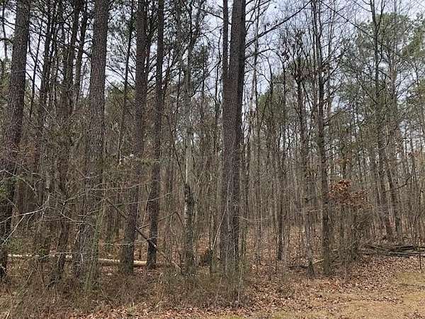 10 Acres of Land for Sale in Eldridge, Alabama