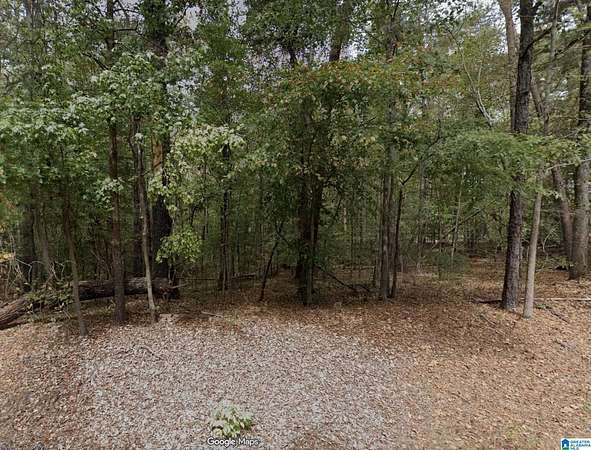 6 Acres of Land for Sale in Adger, Alabama