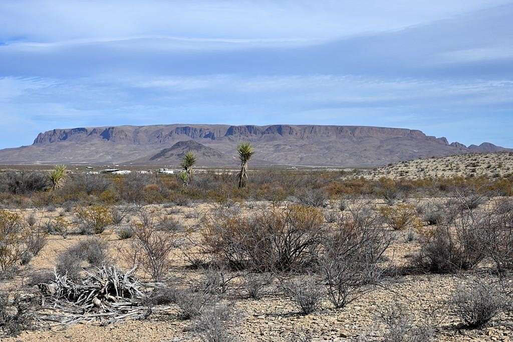 20 Acres of Recreational Land for Sale in Terlingua, Texas