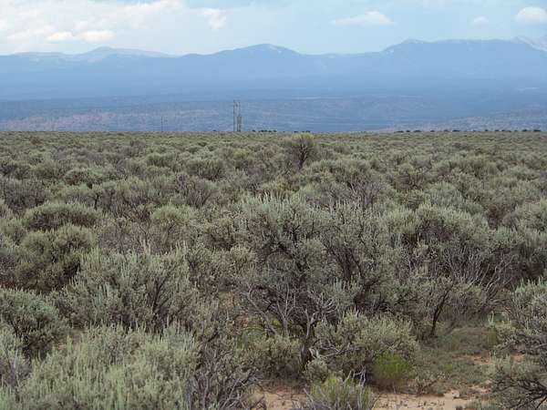 9.24 Acres of Residential Land for Sale in Ojo Caliente, New Mexico