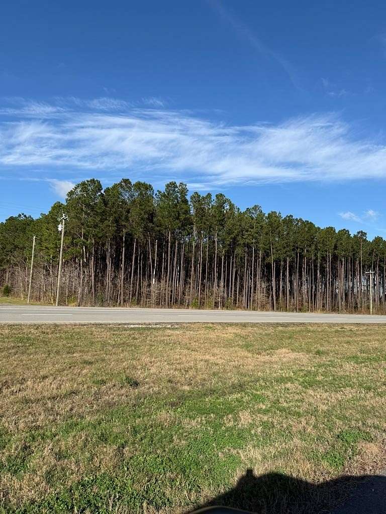 12.4 Acres of Land for Sale in Zavalla, Texas