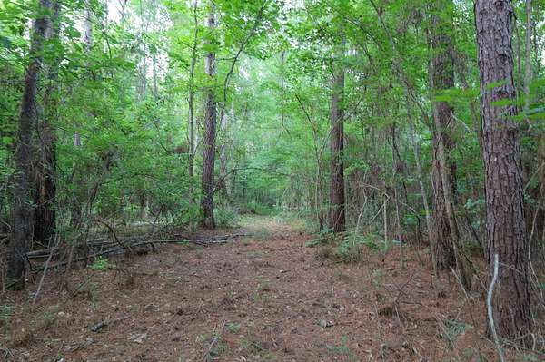 100 Acres of Recreational Land for Sale in Grayson, Louisiana