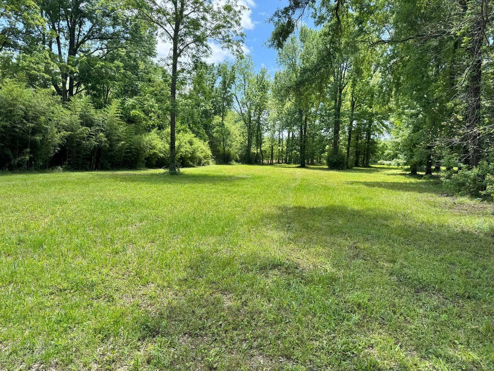 6.51 Acres of Land for Sale in Jonesville, Louisiana