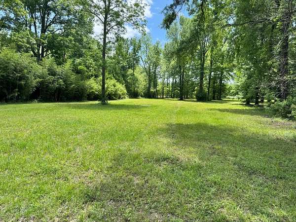 Land for Sale in Jonesville, Louisiana