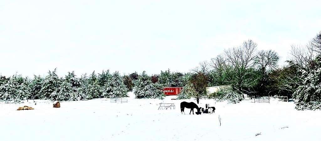 2.63 Acres of Land for Sale in Van Alstyne, Texas