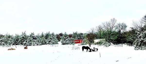 2.63 Acres of Land for Sale in Van Alstyne, Texas