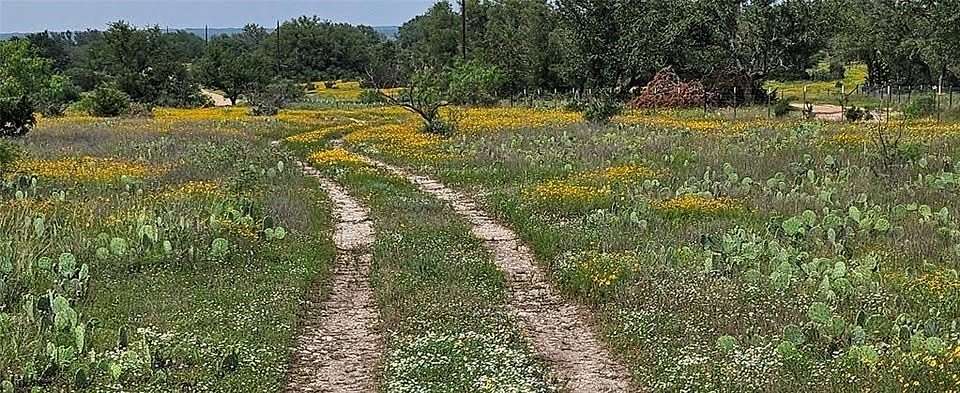 45 Acres of Land for Sale in Mason, Texas