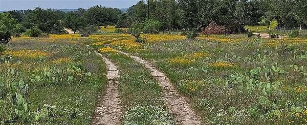 45 Acres of Land for Sale in Mason, Texas