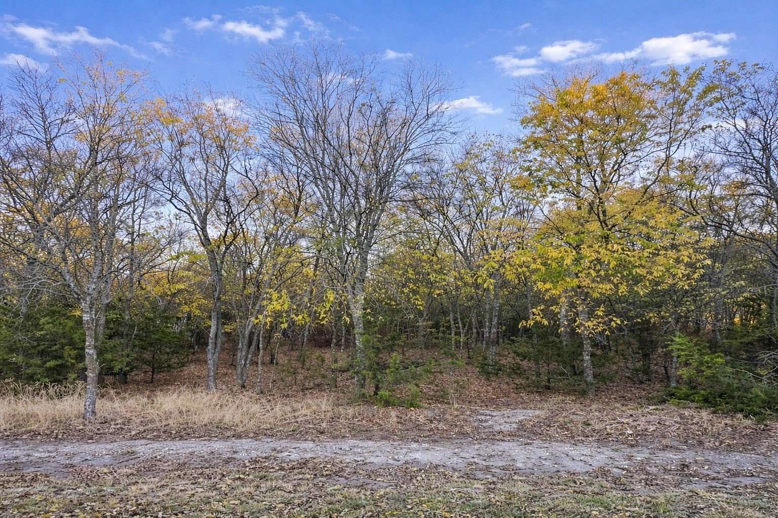 0.77 Acres of Residential Land for Sale in Fort Worth, Texas