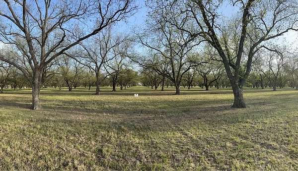 10.3 Acres of Land for Sale in De Leon, Texas