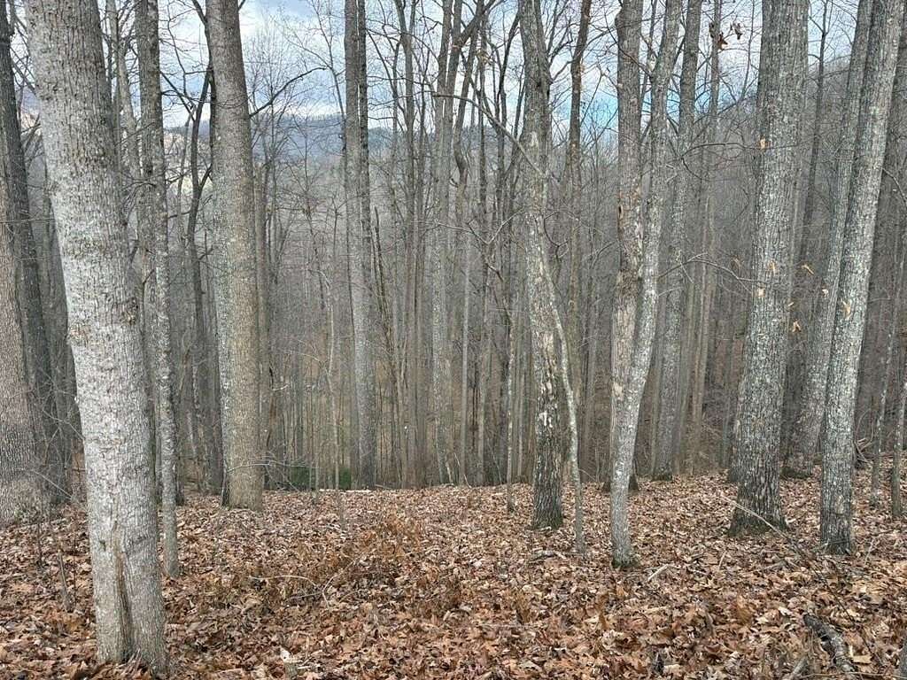 2.12 Acres of Land for Sale in Blairsville, Georgia