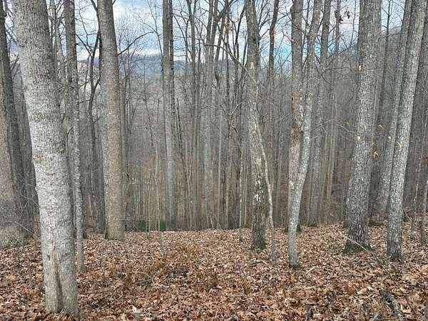 2.12 Acres of Land for Sale in Blairsville, Georgia