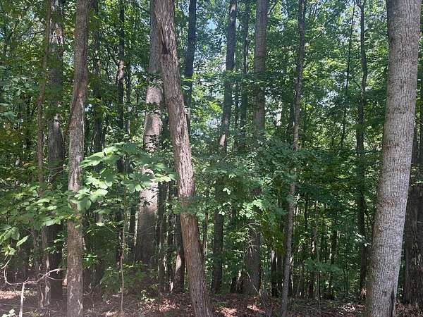 2.12 Acres of Land for Sale in Blairsville, Georgia