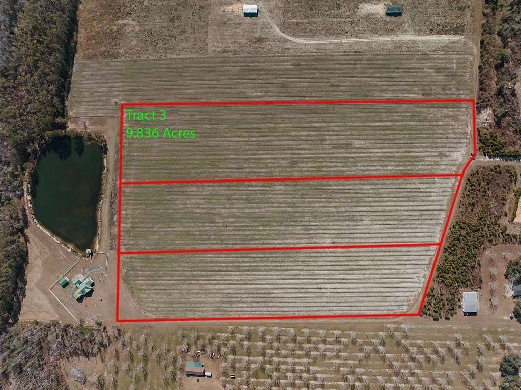 9.83 Acres of Land for Sale in Baxley, Georgia
