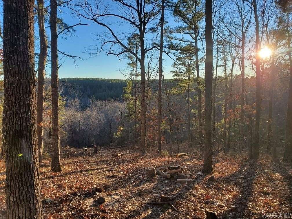 10 Acres of Recreational & Residential Land for Sale in Leslie, Arkansas