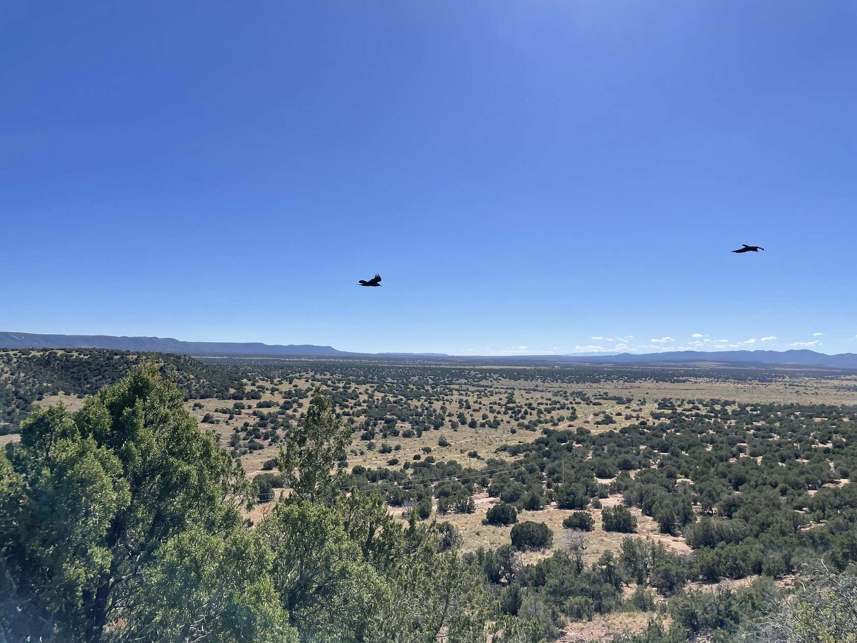 21.7 Acres of Land for Sale in Mountainair, New Mexico