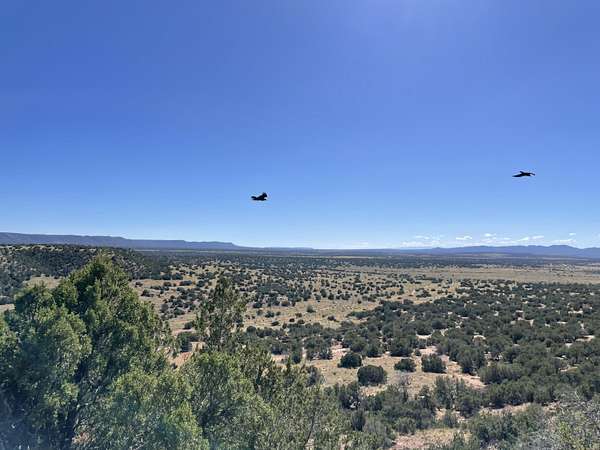 21.7 Acres of Land for Sale in Mountainair, New Mexico
