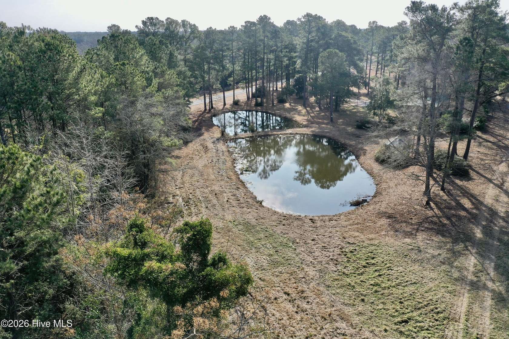 10 Acres of Recreational & Residential Land for Sale in Clarkton, North Carolina