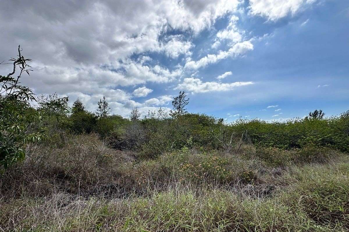 1 Acre of Land for Sale in Hawaiian Ocean View, Hawaii