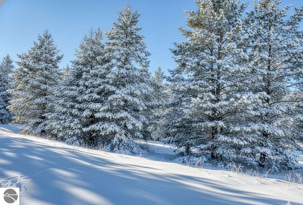 20.7 Acres of Recreational Land for Sale in Fife Lake, Michigan