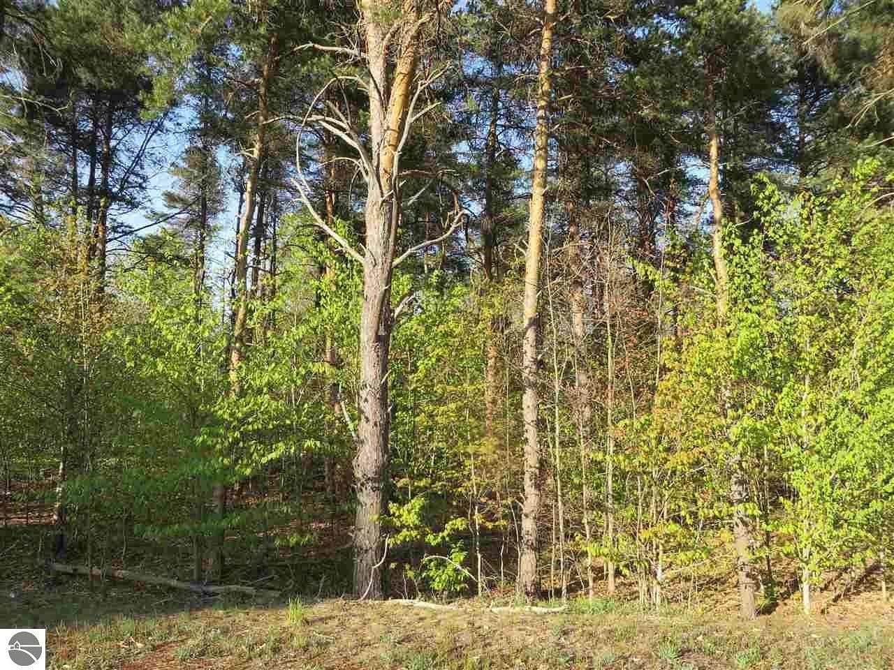 20.7 Acres of Recreational Land for Sale in Fife Lake, Michigan