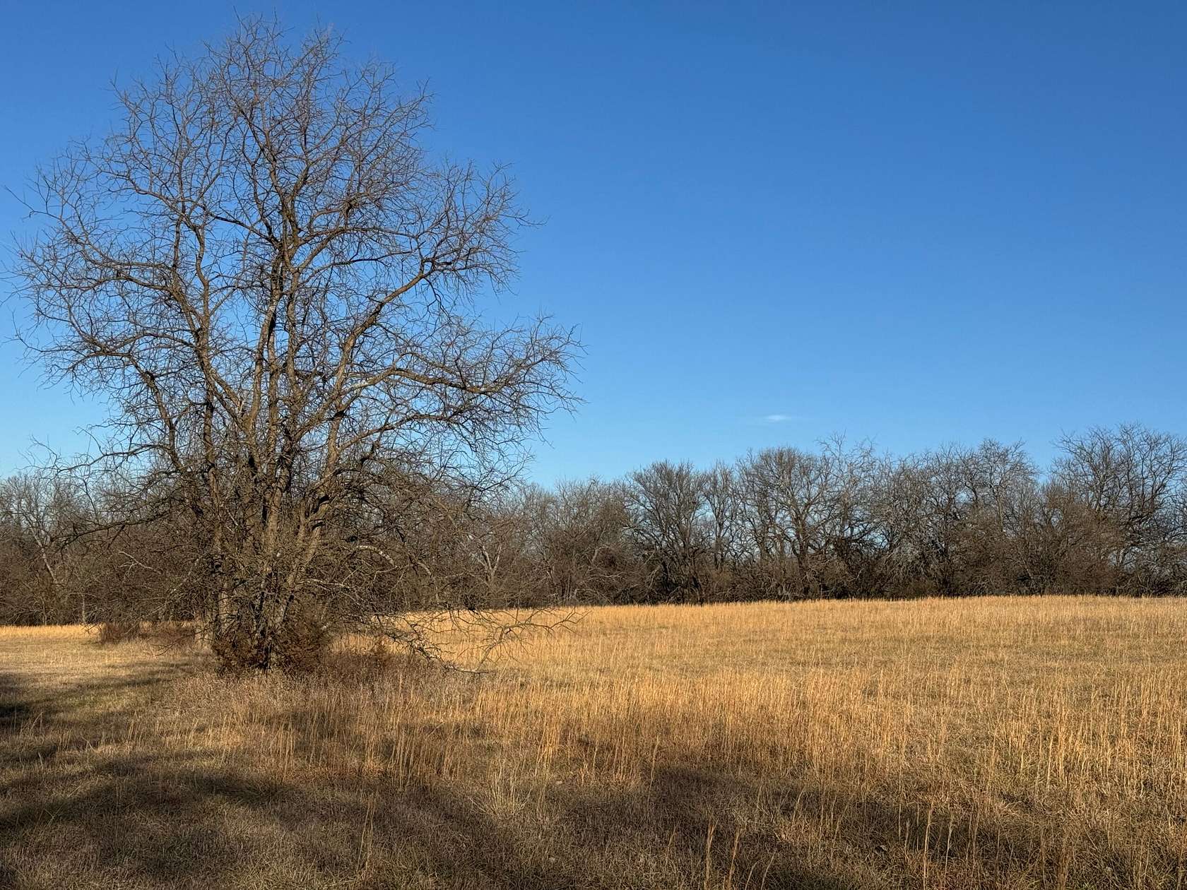 80.6 Acres of Recreational Land & Farm for Sale in Lecompton, Kansas